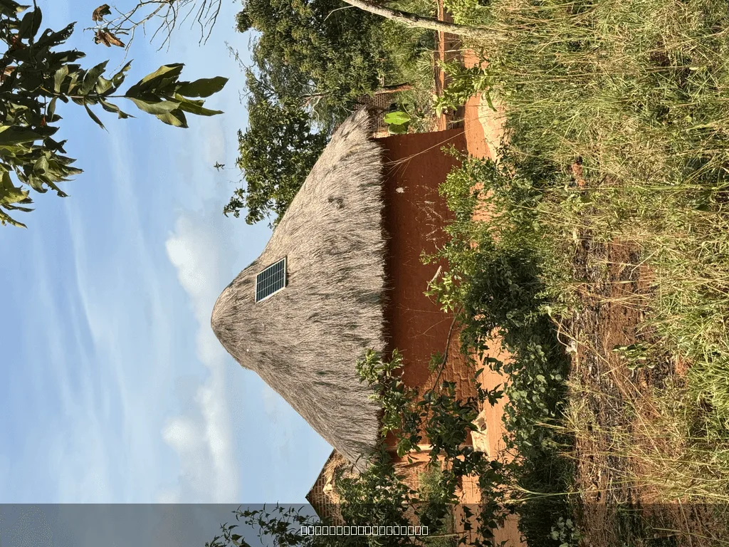 Before when i was young, I saw this as poverty. but now I know why one needs to have a village home. — image 1